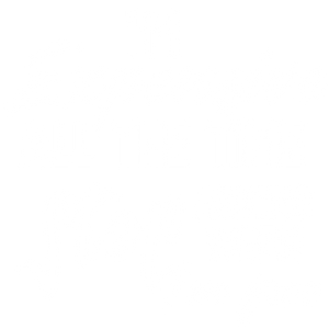 "I'm Expensive" T-shirt